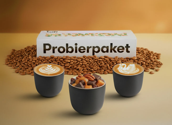 Probierpaket Spezialitätenkaffee Cappuccino & Co. 3x250g