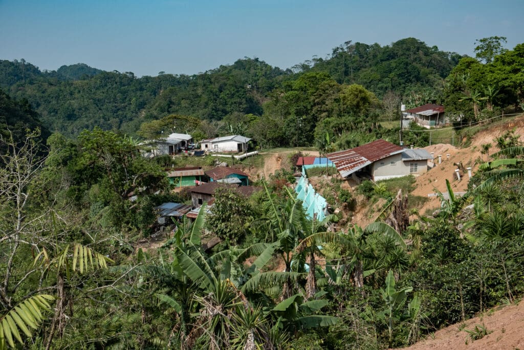 Sagastume Honduras - trinkkofi