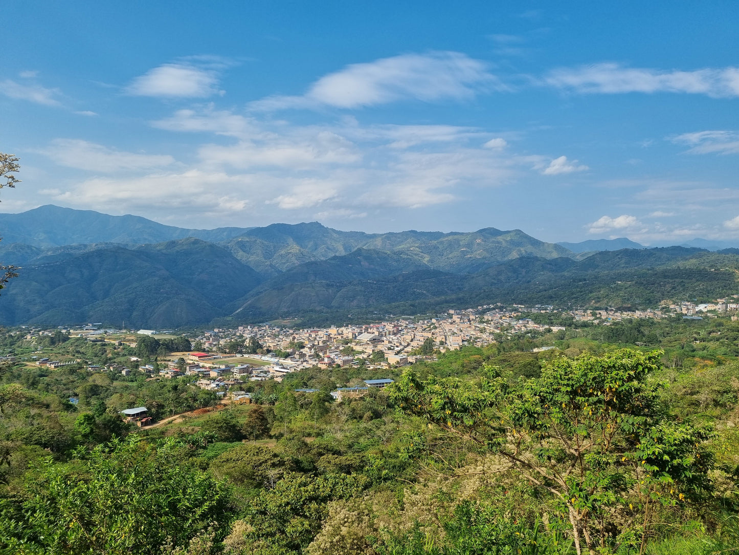 Maxi Garcia Peru - Geisha