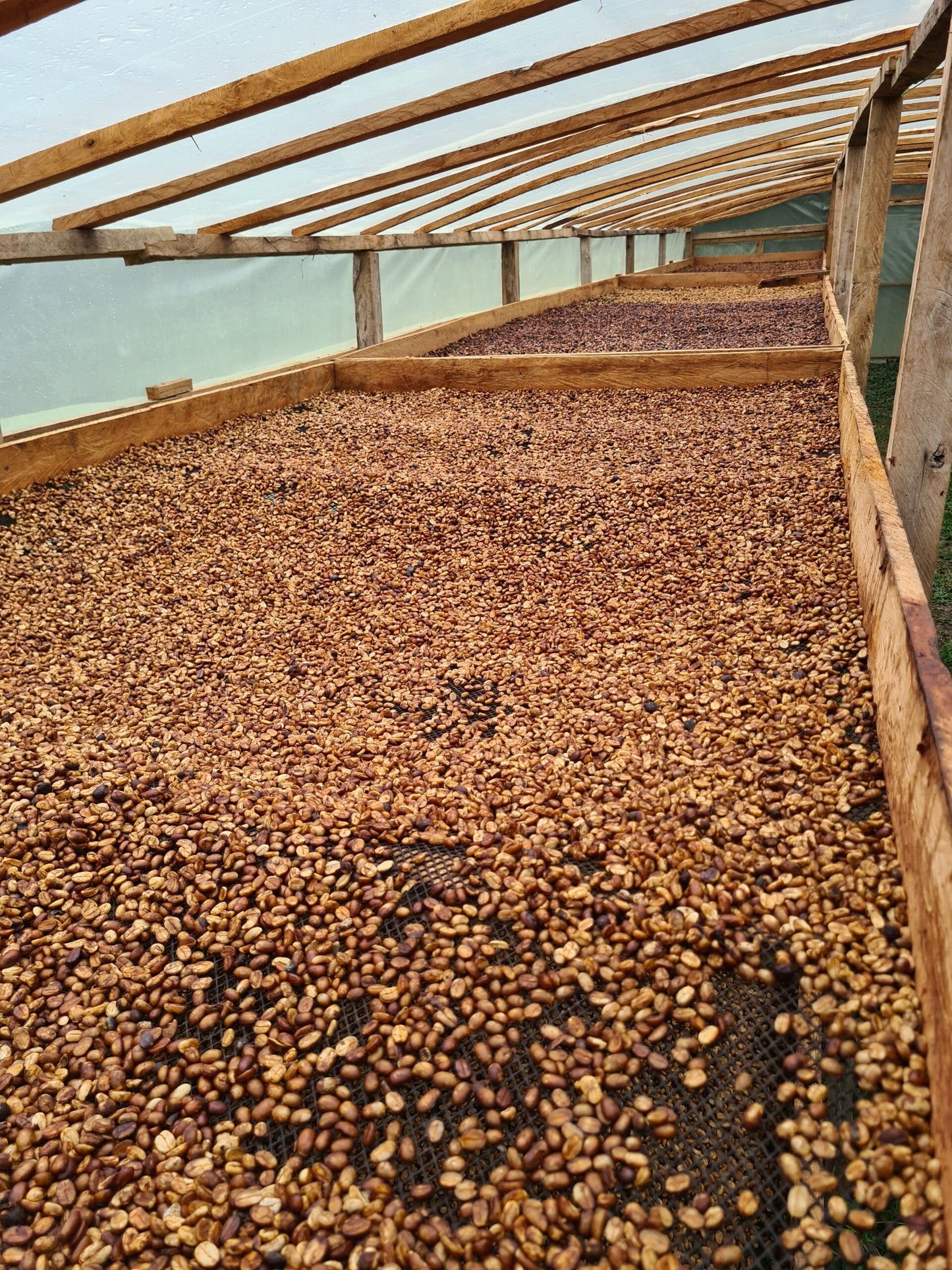 17f84f38e6388faed4c5c46c5f909ce5