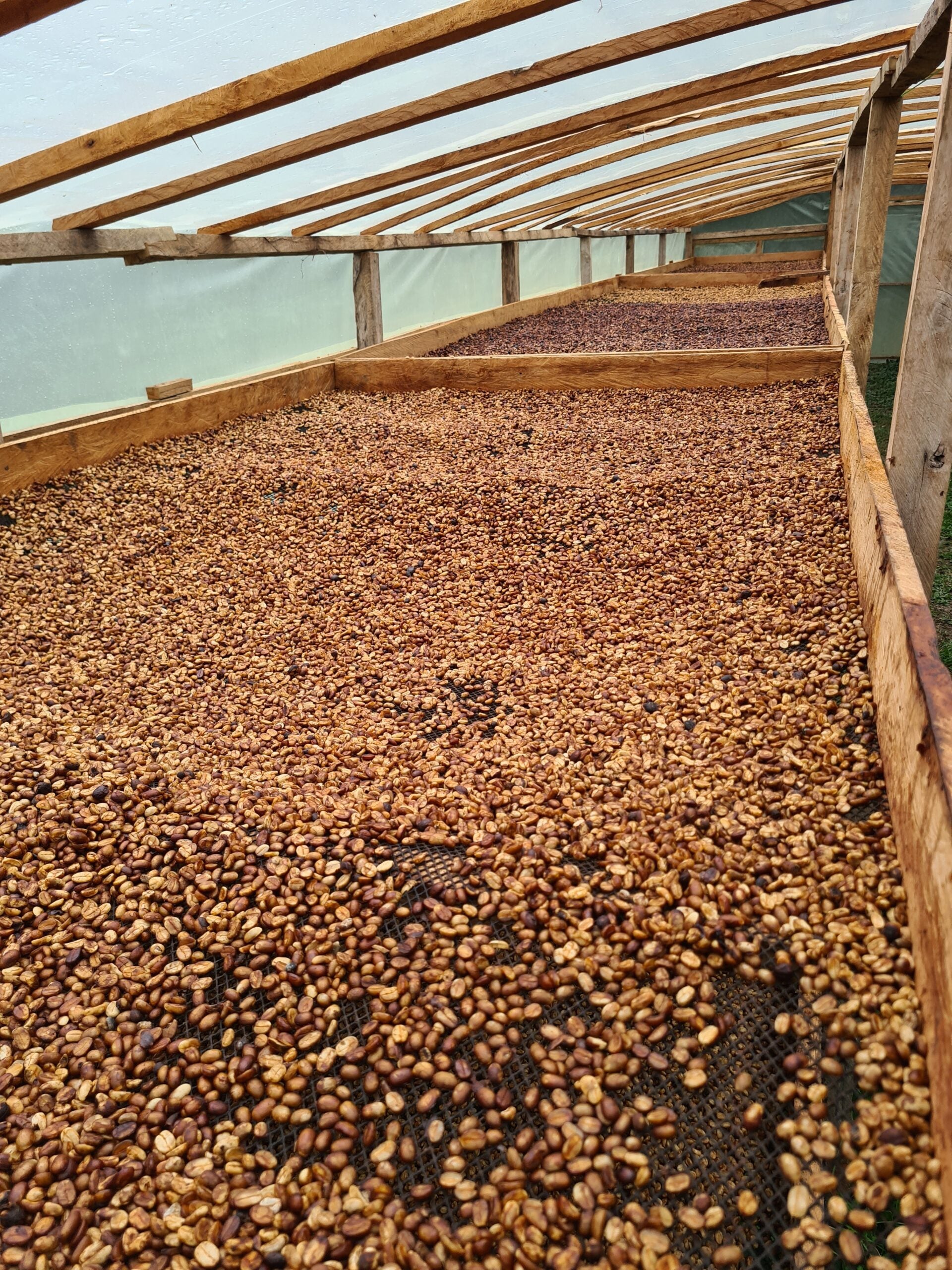 17f84f38e6388faed4c5c46c5f909ce5