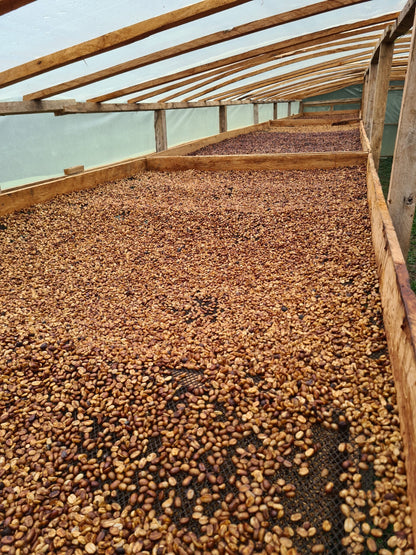 17f84f38e6388faed4c5c46c5f909ce5