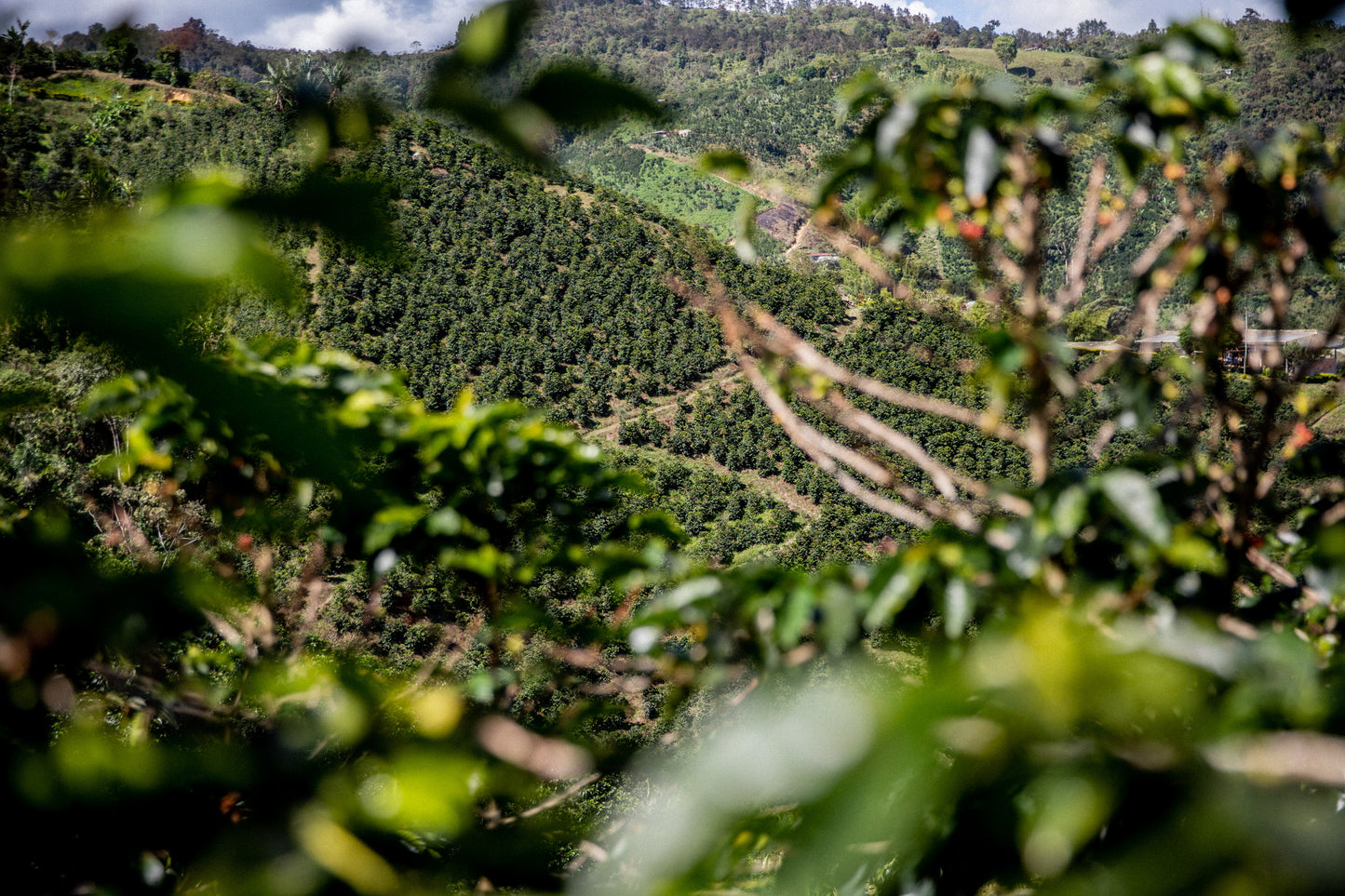 Villa Betulia Kolumbien