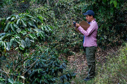 39ff88245555d6e8b94818572fbd2f7f