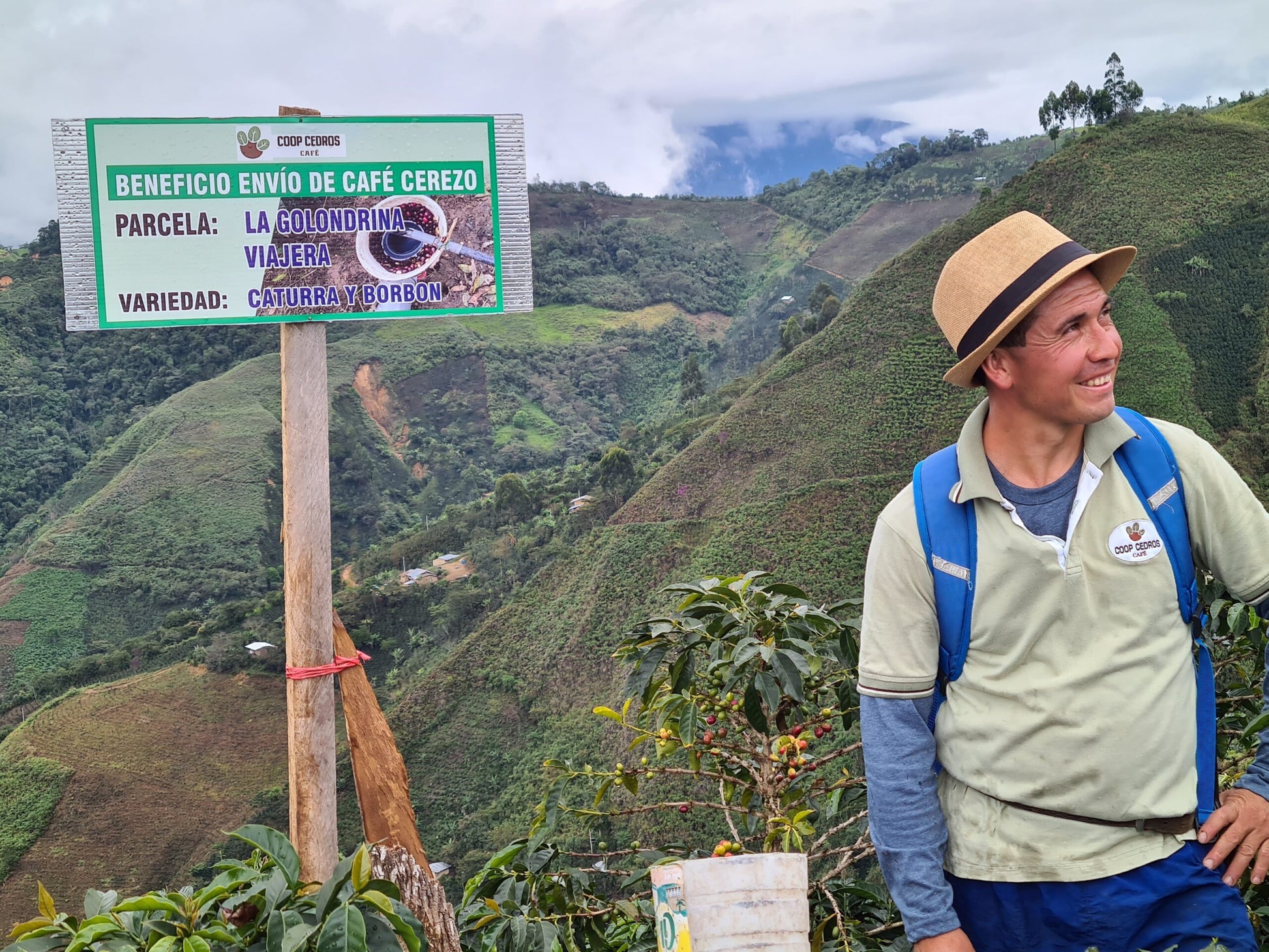 44c19a62066ac82780941ffcd26534bf