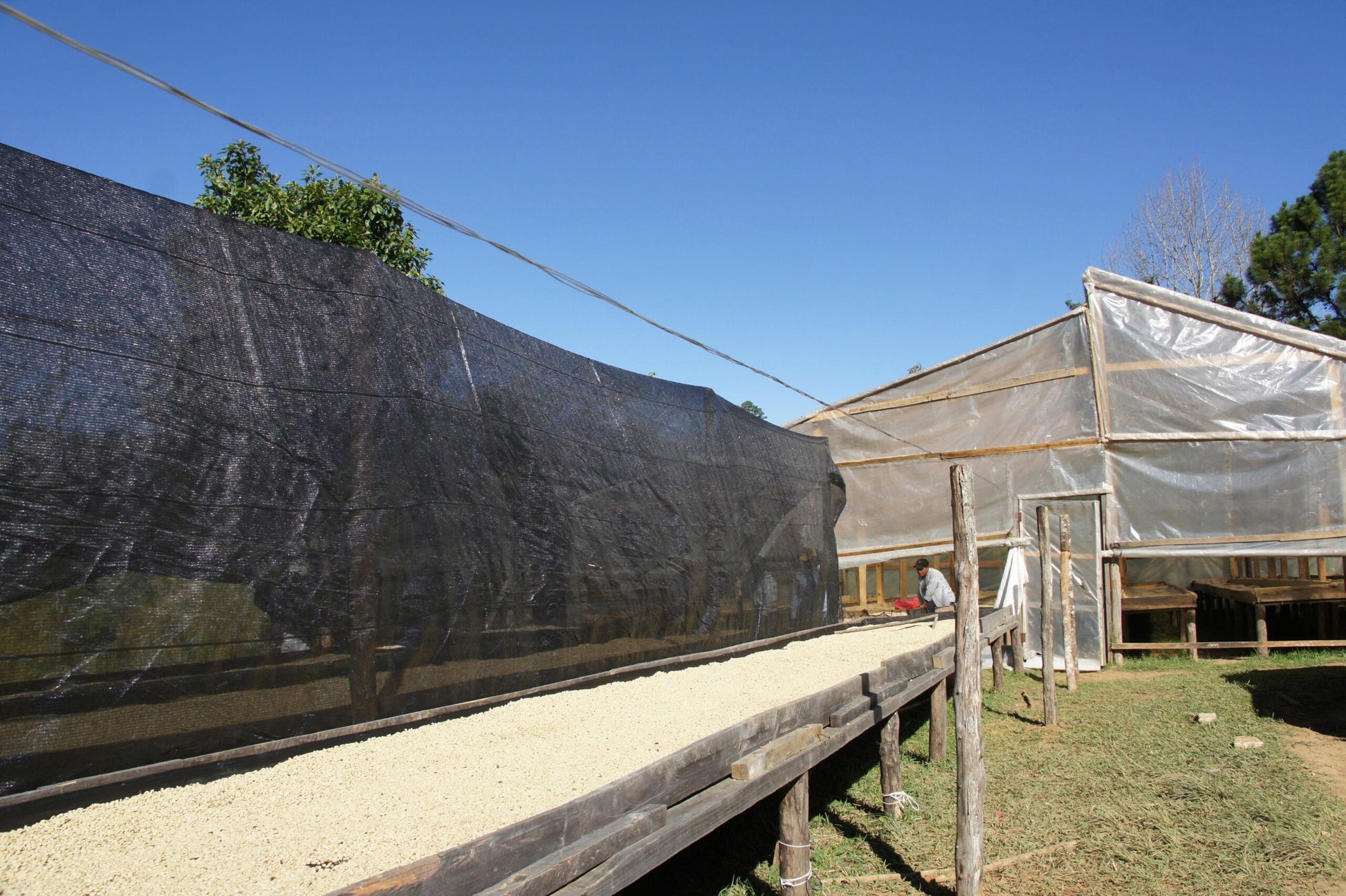 4568d97d391b864f9cbf41a8e7bf1218