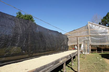 4568d97d391b864f9cbf41a8e7bf1218