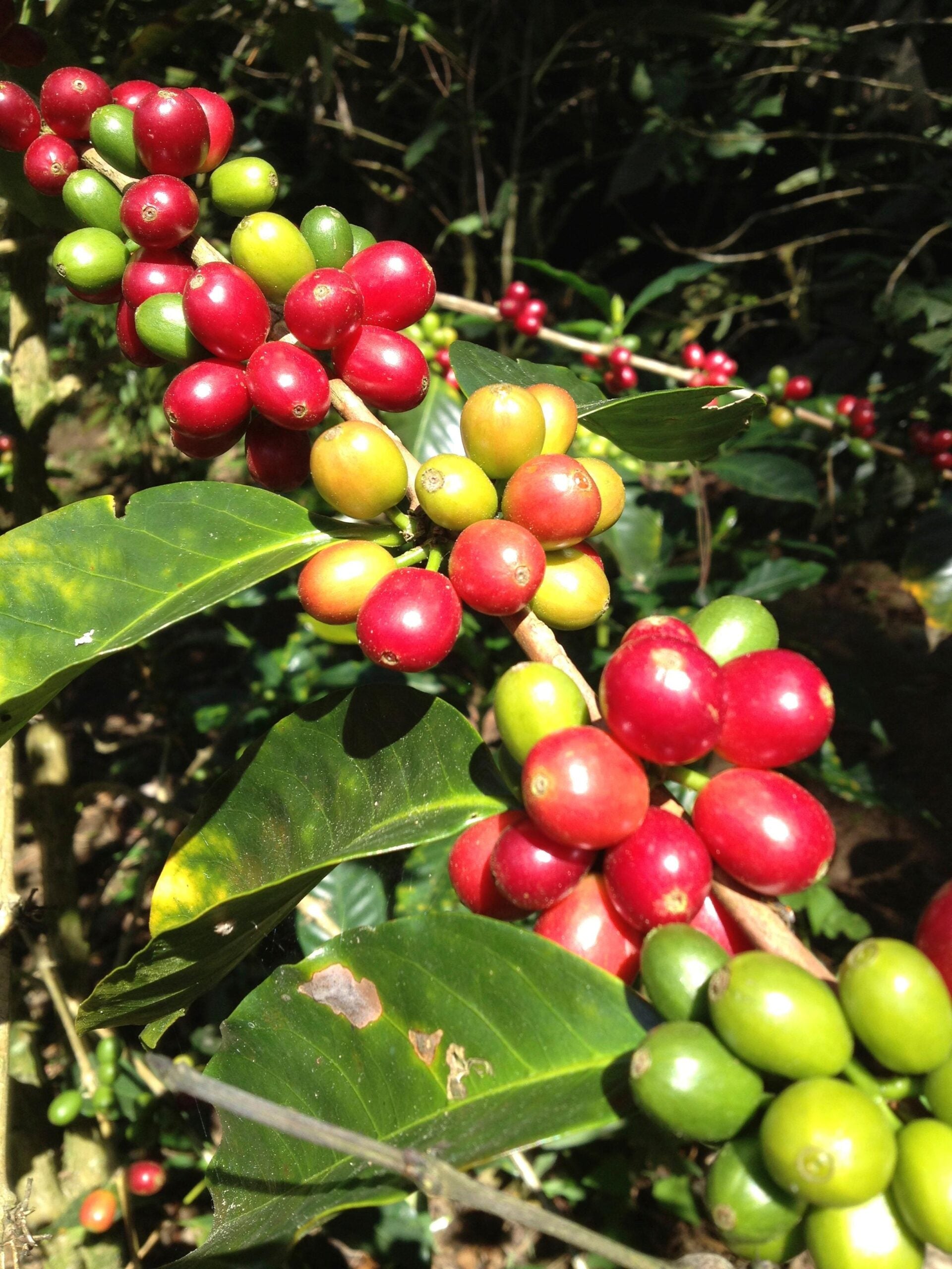 45cbac69ff3fca2454f6314af24682ef