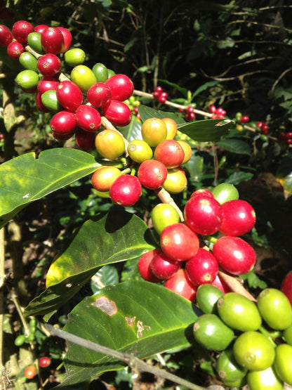 45cbac69ff3fca2454f6314af24682ef