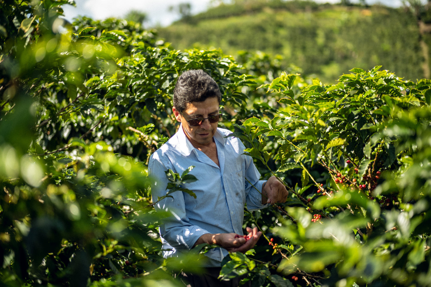 Villa Betulia Kolumbien