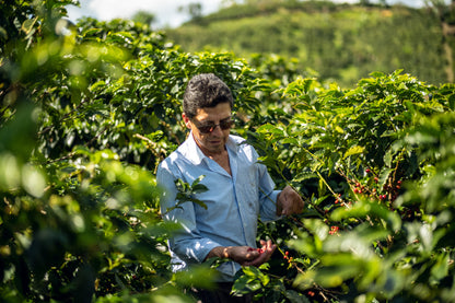 Villa Betulia Kolumbien