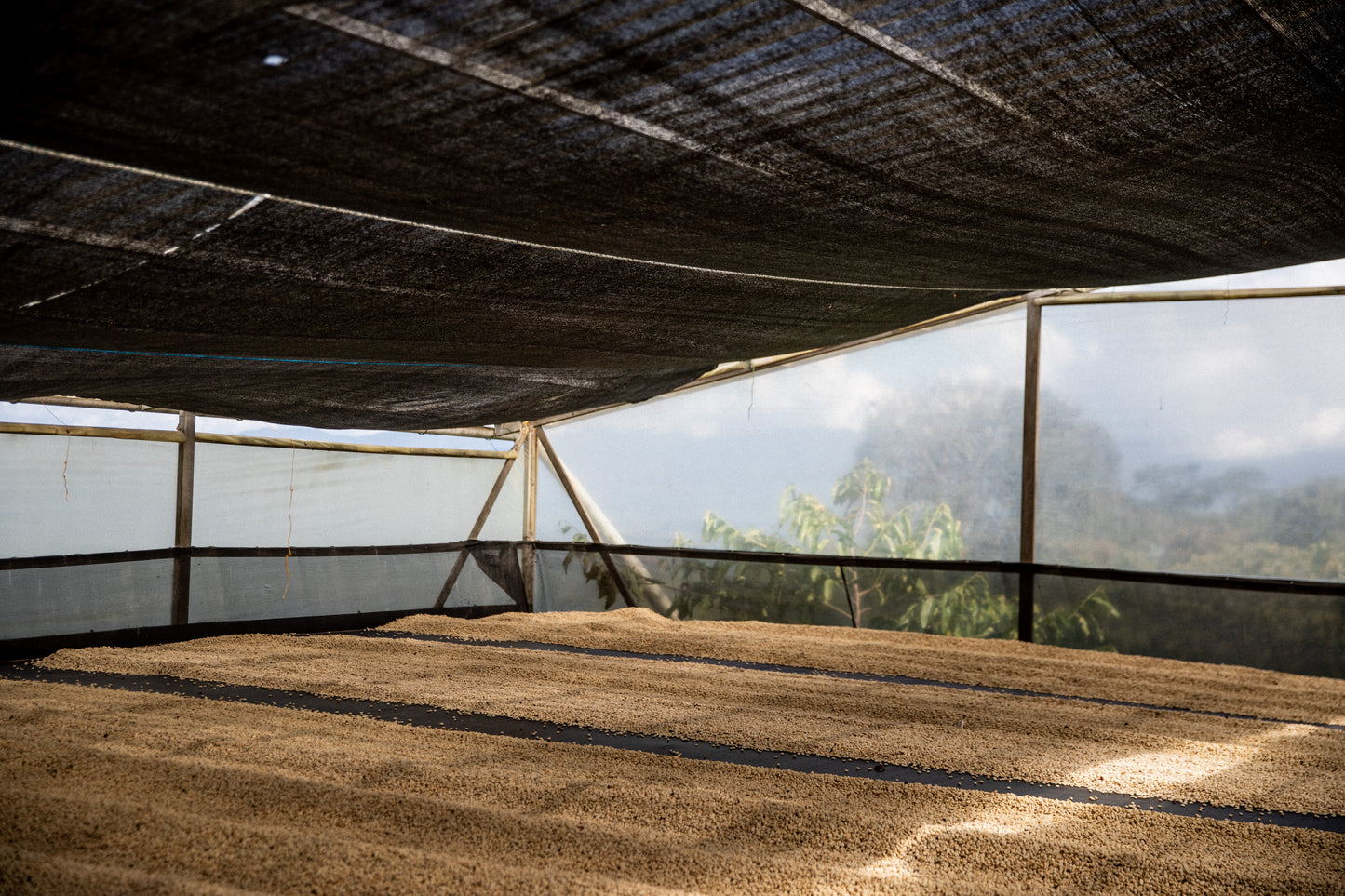 Villa Betulia Kolumbien