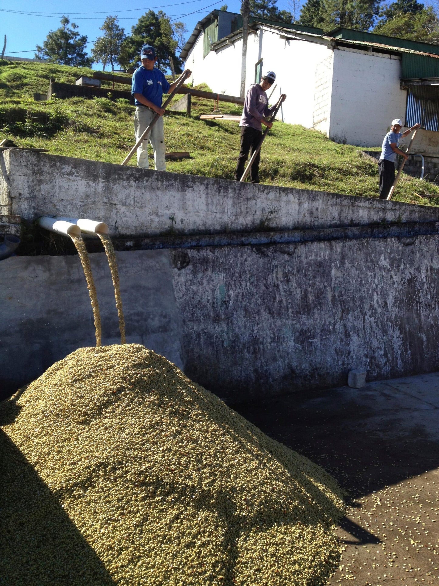 5b7102fee87e89fd7cfd96596fedfc75