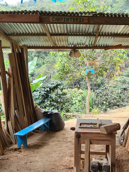 75fc9a01930a2e7341350a595b77e9dc