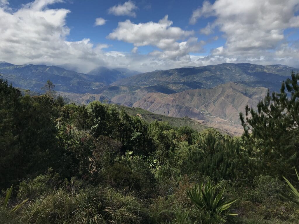 Carnaval-Elena-July-2018-1-1024x768