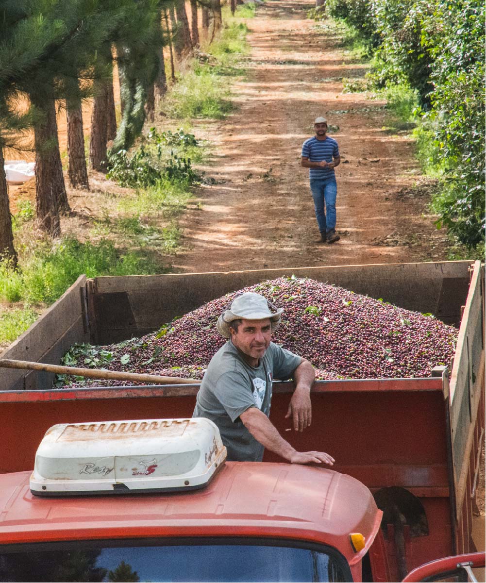 Equipo-de-Daterra-Coffee-del-origen-cafetalero-Brasil-01-01
