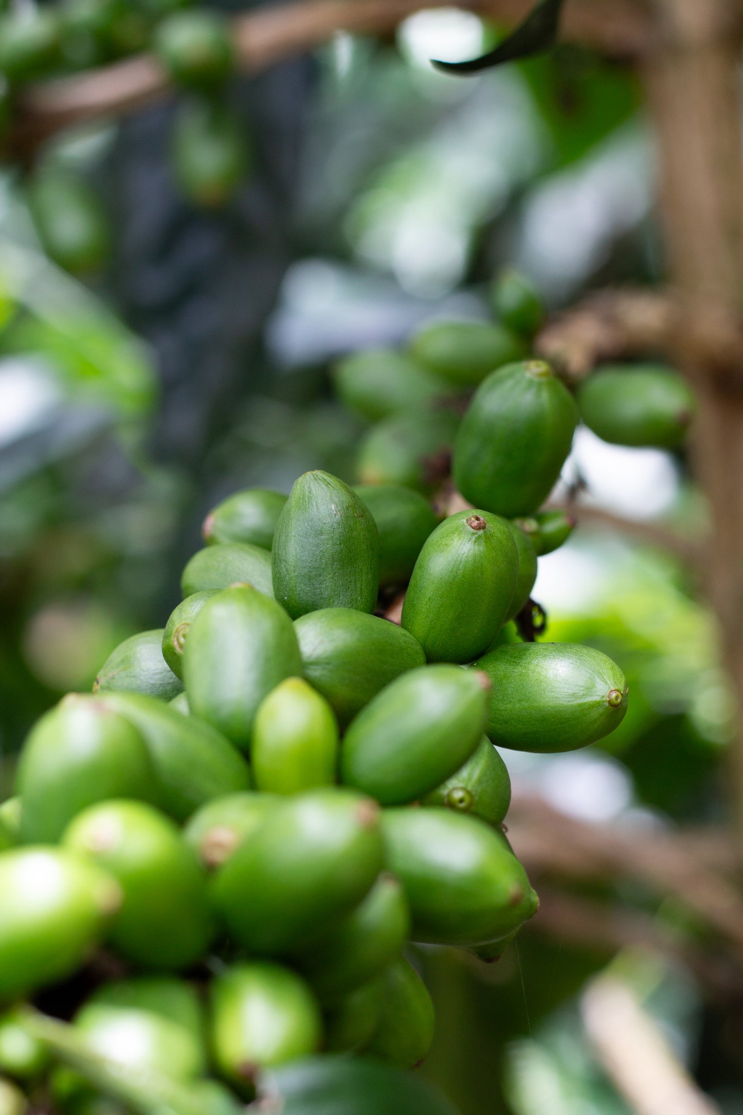 La Reserva Kolumbien