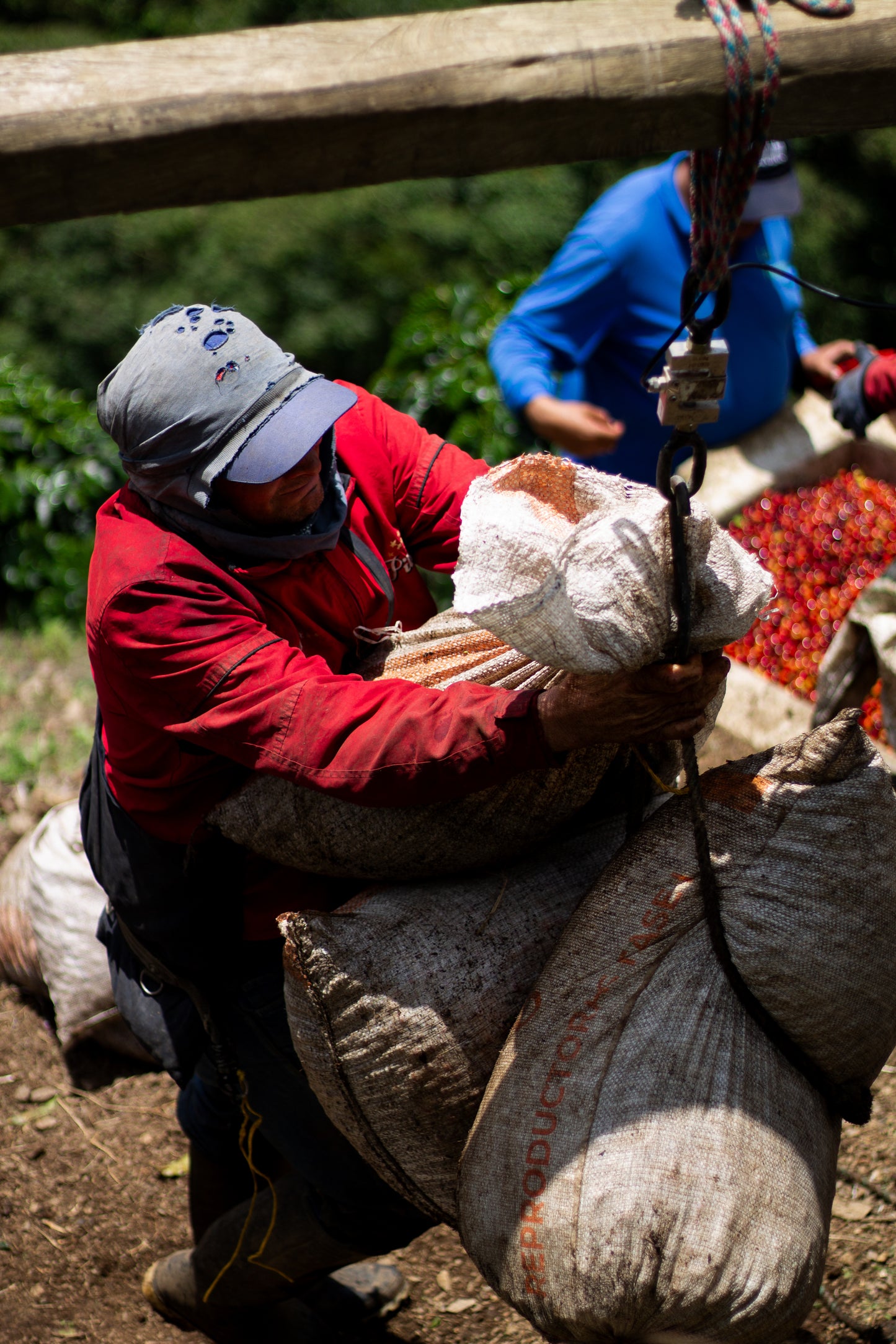La Reserva Kolumbien
