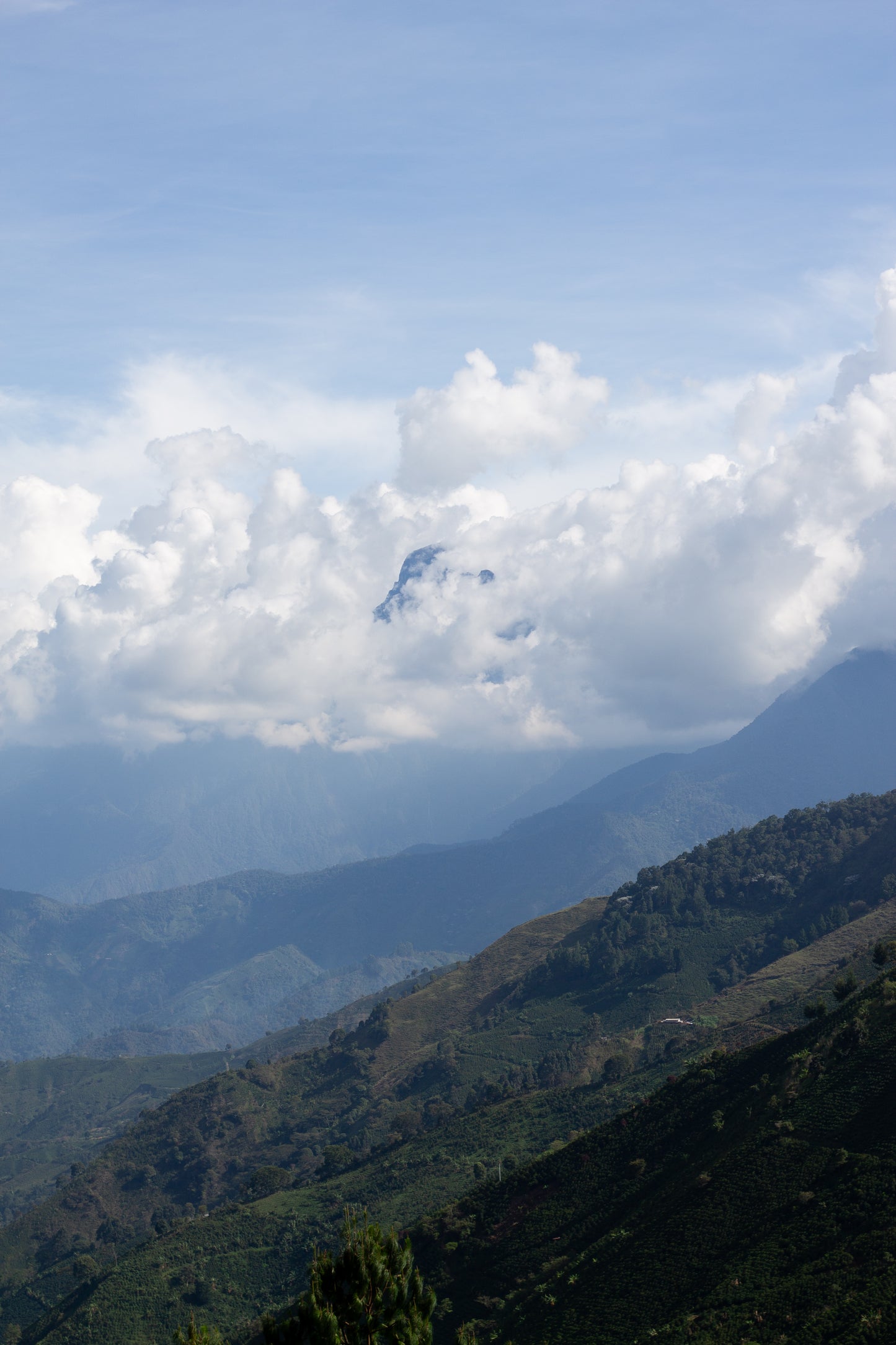 La Reserva Kolumbien