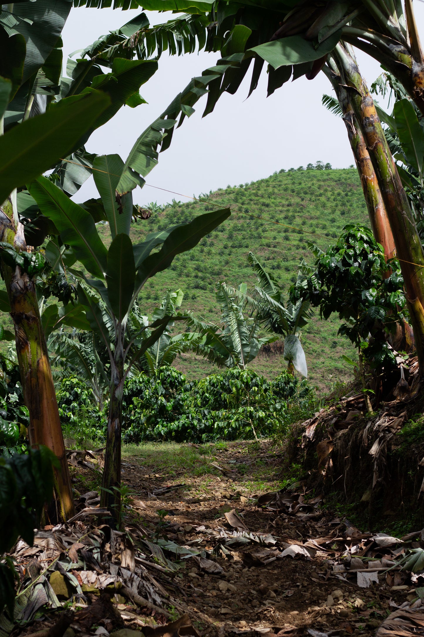 La Reserva Kolumbien