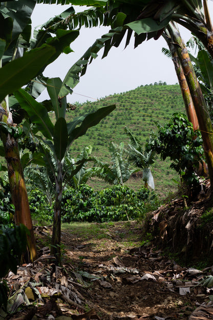 La Reserva Kolumbien