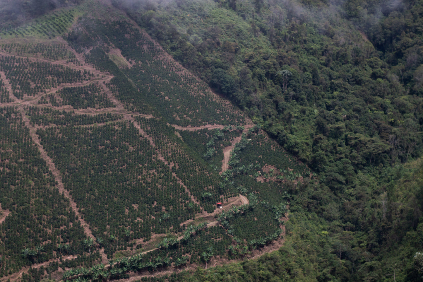 La Reserva Kolumbien