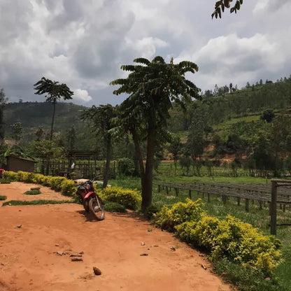 Muhondo Ruanda