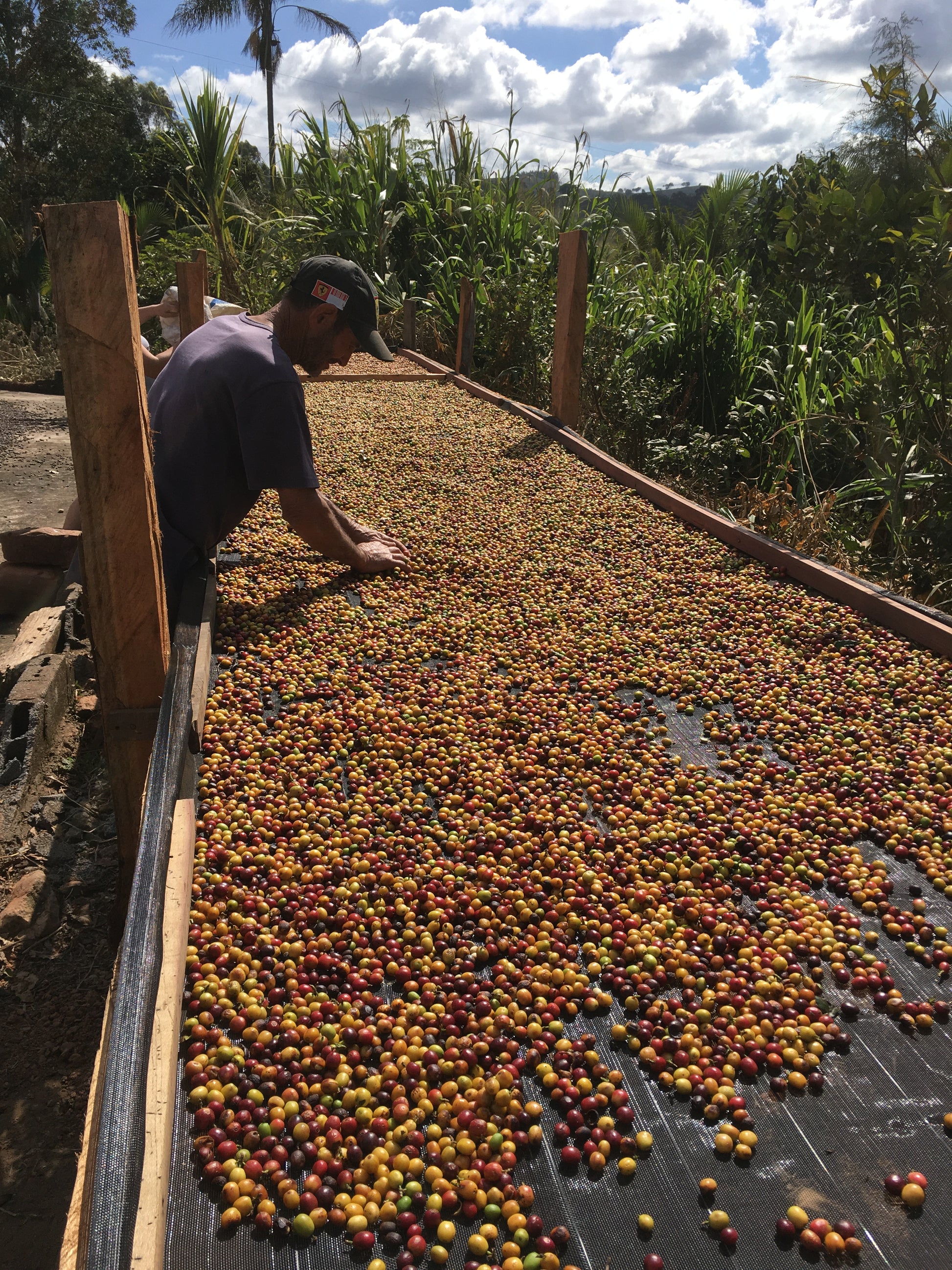 Boa Vista Brasilien - trinkkofi