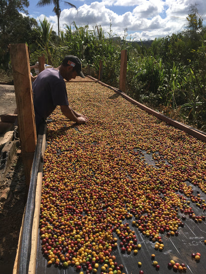 Boa Vista Brasilien - trinkkofi