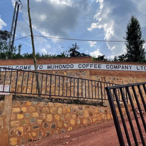 Muhondo Ruanda