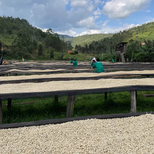 Muhondo Ruanda
