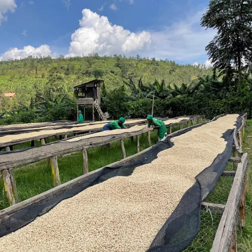 Muhondo Ruanda