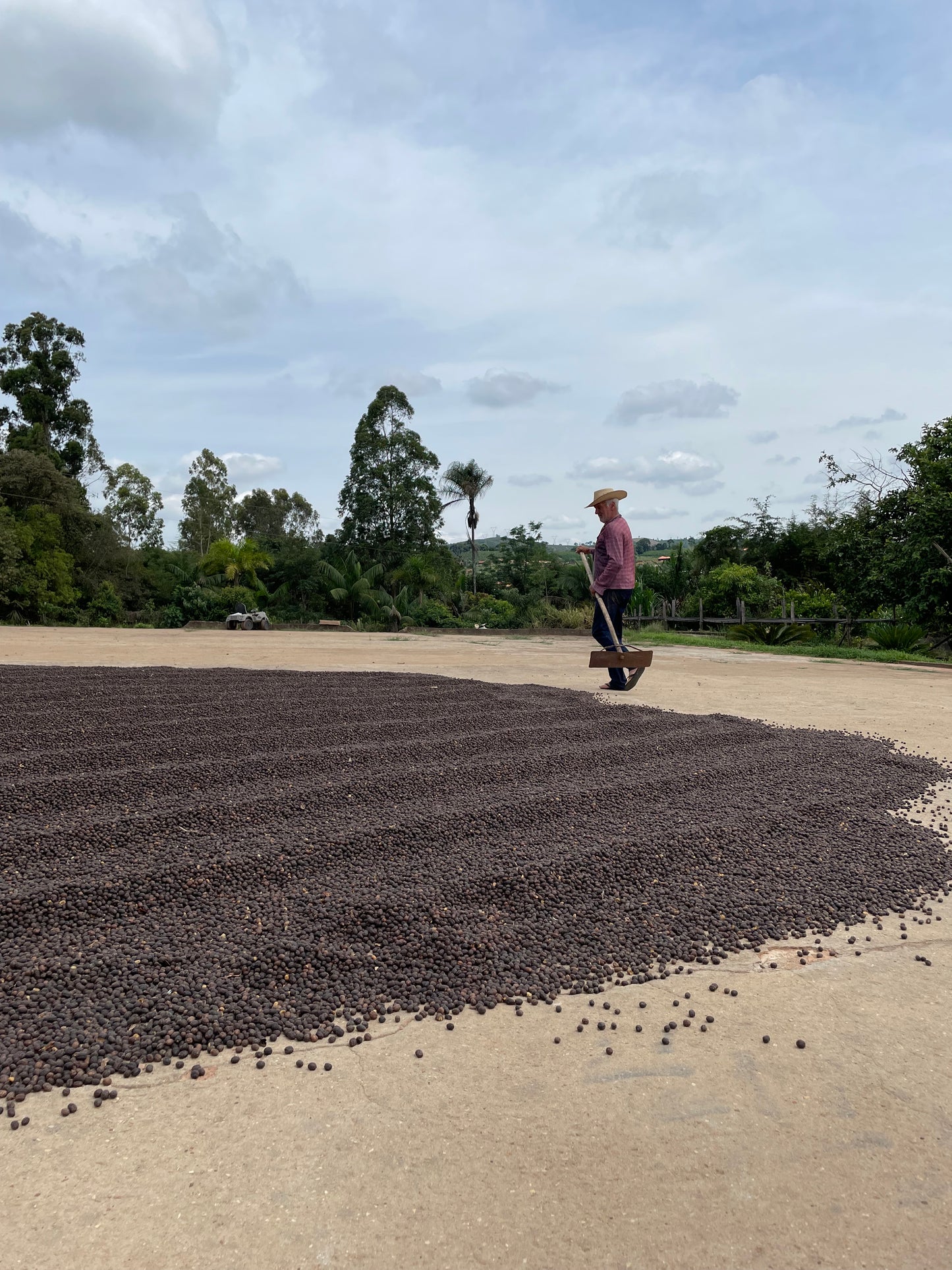 Boa Vista Brasilien - trinkkofi