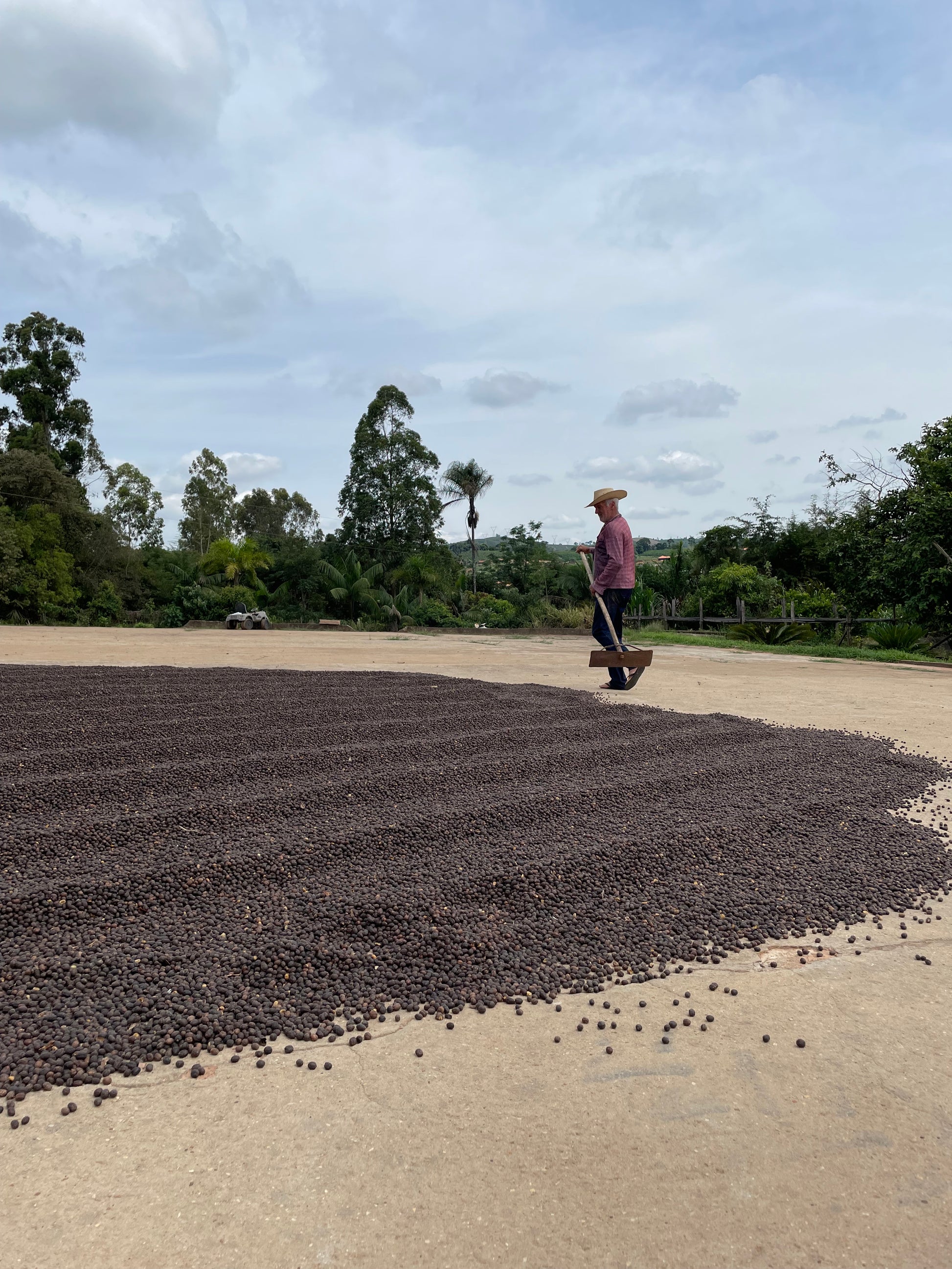 Boa Vista Brasilien - trinkkofi
