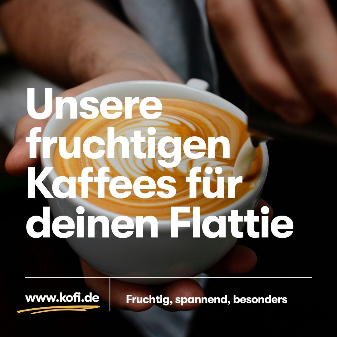 Probierpaket Spezialitätenkaffee Flat White 3x250g - trinkkofi