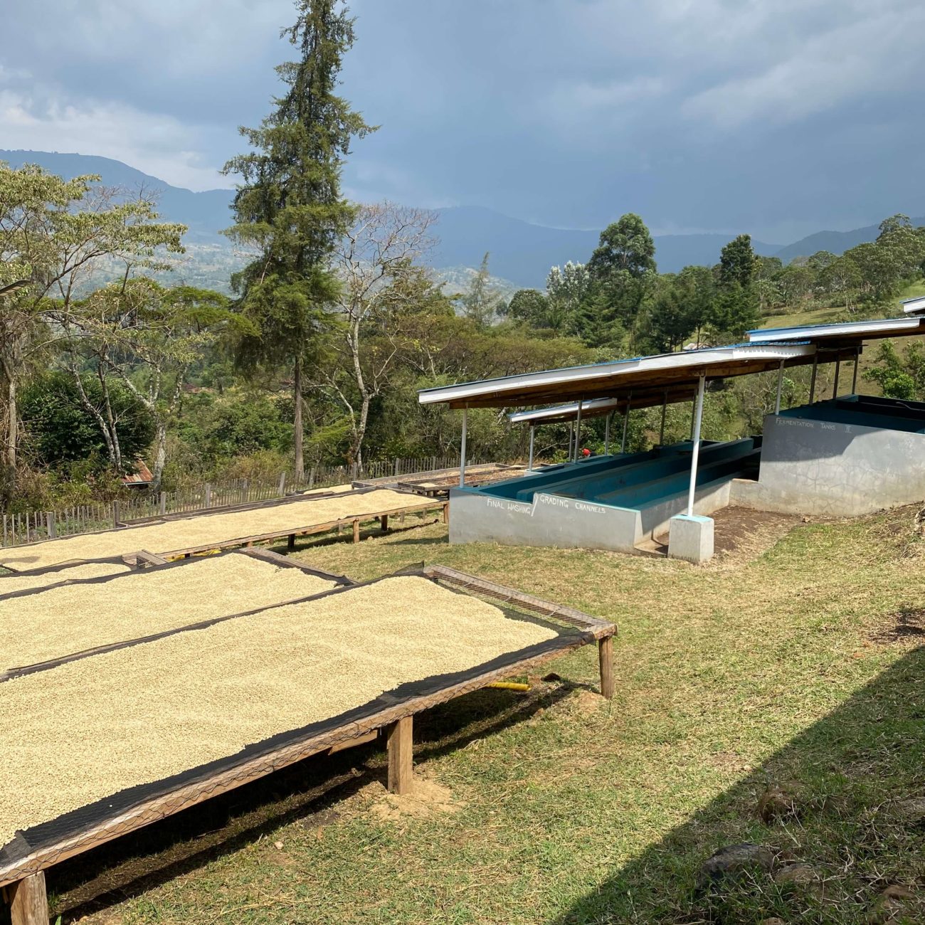 Olochoy-04-2-1300x1300