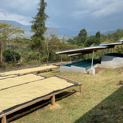 Olochoy-04-2-1300x1300