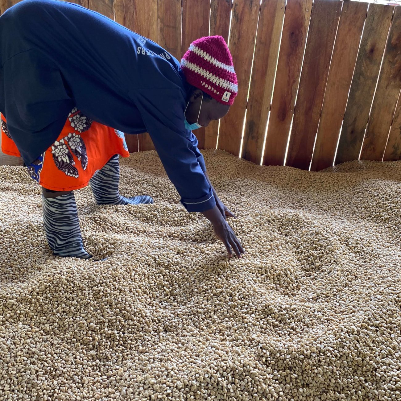 Olochoy-05-1-1300x1300