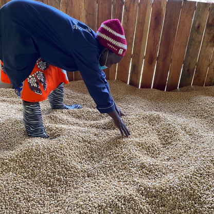 Olochoy-05-1-1300x1300