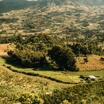 Olochoy-12-1300x1300