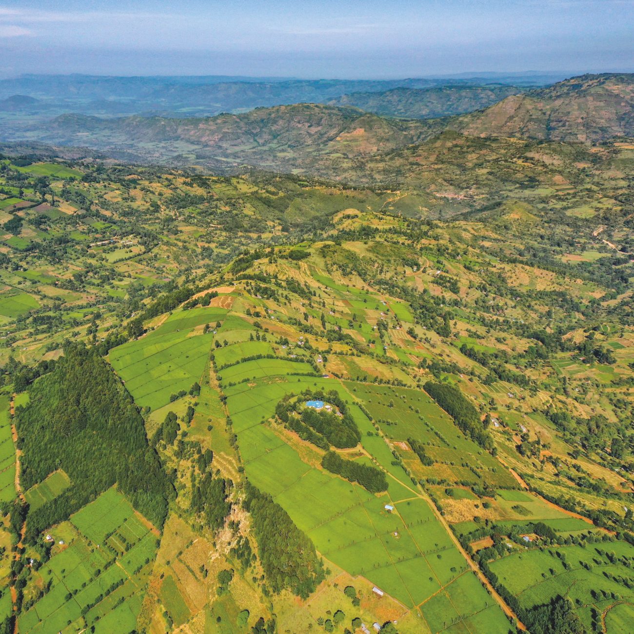 Olochoy-14-1300x1300