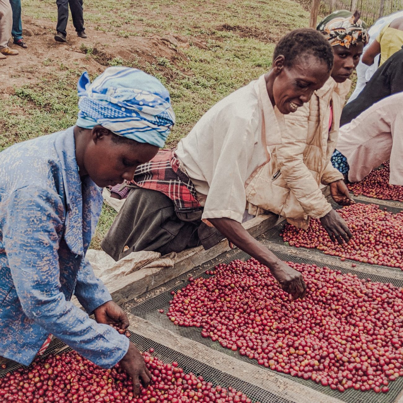 Olochoy-20-1300x1300