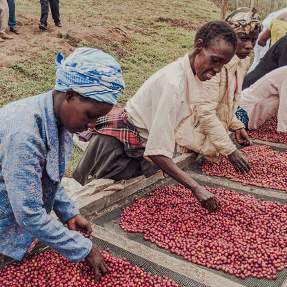 Olochoy-20-1300x1300