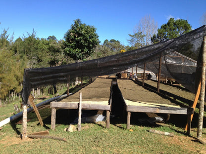 a11876c6542b00358b6337a96564209a