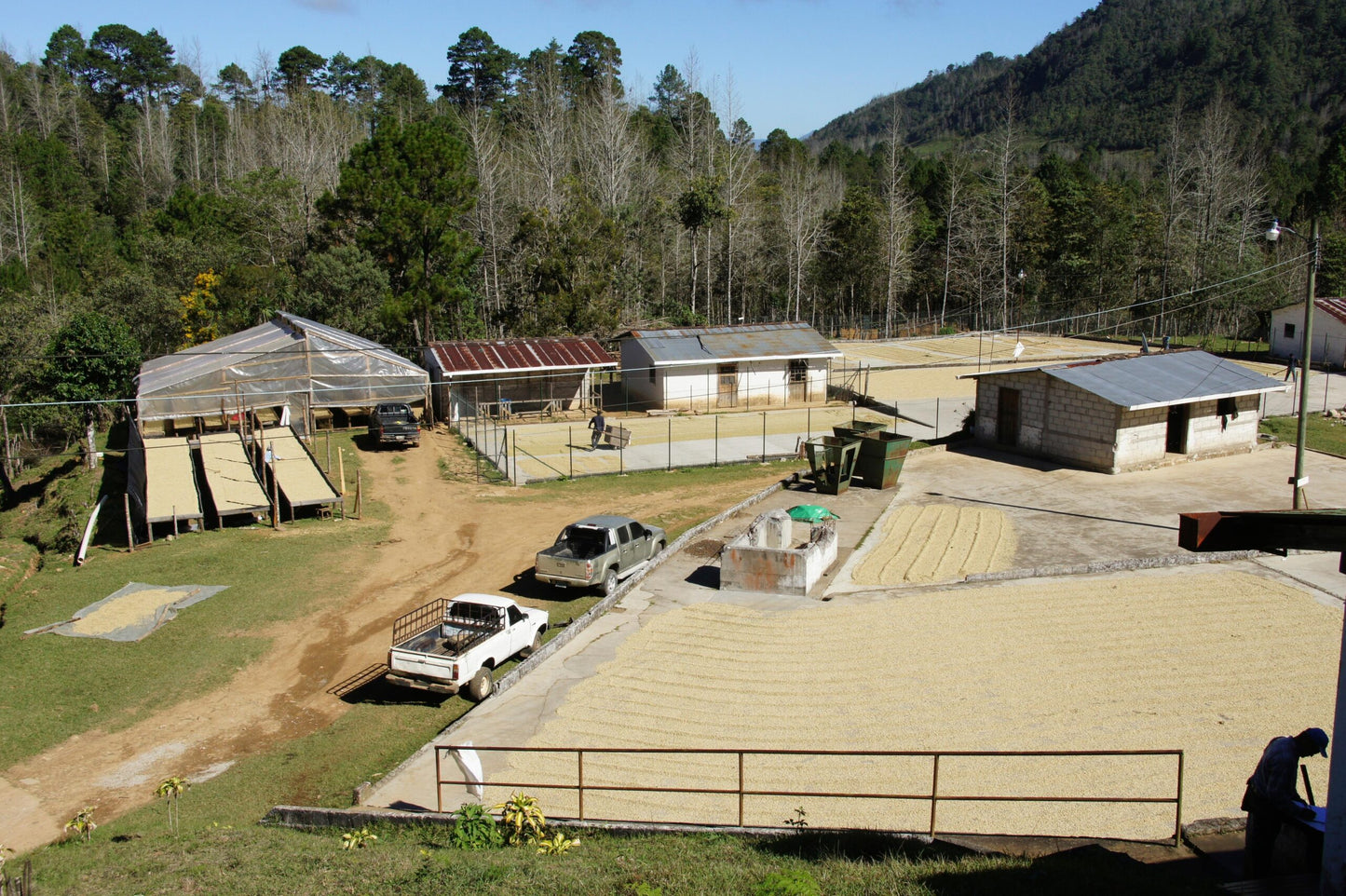 a85fc8bff0cc505c1eabcfe46eaa8cc4