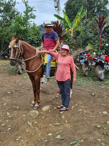 ae04d3a4e831d296bd24b00d43ece5b2