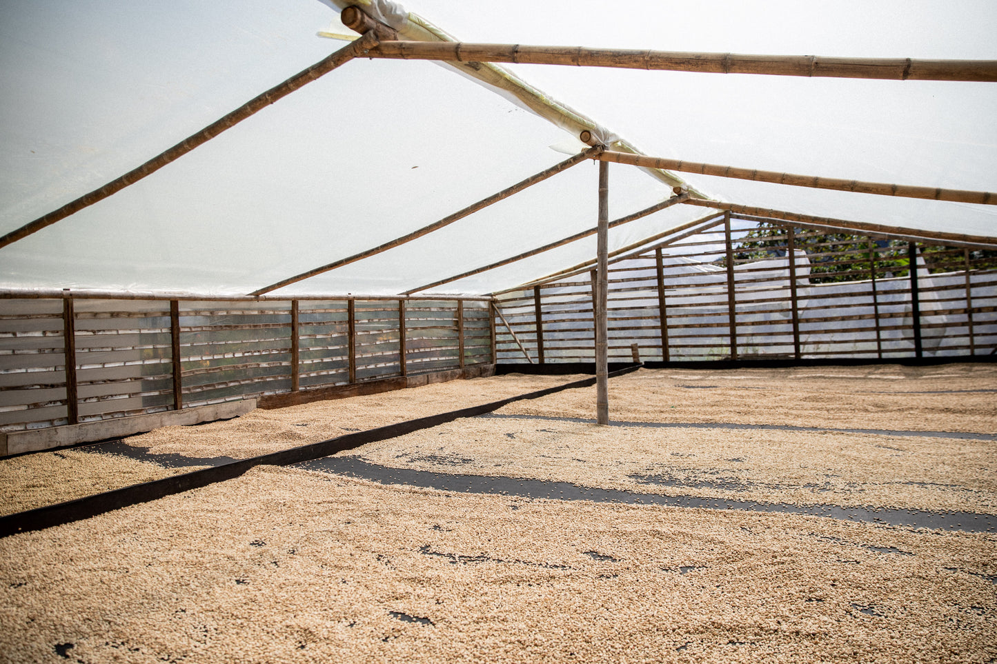 Villa Betulia Kolumbien