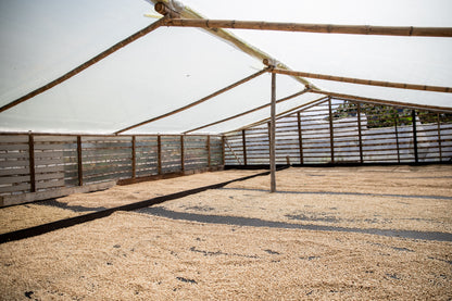 Villa Betulia Kolumbien