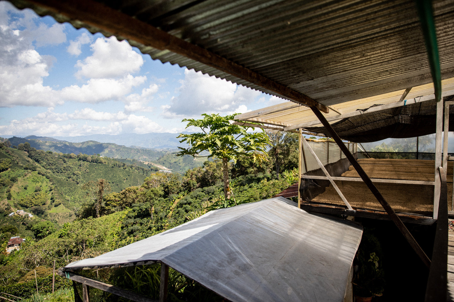 Villa Betulia Kolumbien