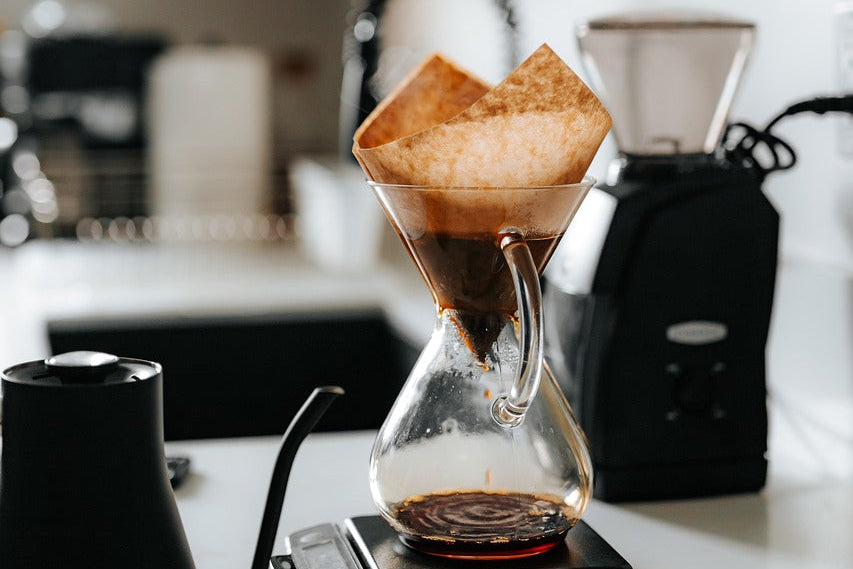 Probierpaket Filter 3x250g